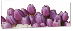 tulipany, fiolet, kwiaty, patki, natura, licie, gsto, bukiet, pikno, biae to, makro