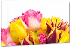 bukiet kwiatw, tulipany, rowy, ty, wiosna, makro, biae to, pikno, natura, wiosna, ogrd