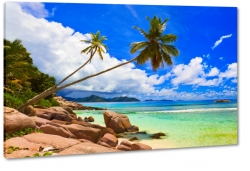 palmy, tropiki, skay, kamienie, wakacje, morze, plaa, piasek, wakacje, podr, krajobraz, widok, tropiki, tropikalny, soce, turkus, bkit