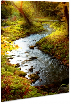 most, rzeka, przejcie, widok, pejza, strumyk, kamienie, las, park, spokj, relaks, jesienny