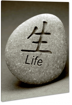 kamie, life, ycie, znaczenie, symbol, symbolika, przekaz, szary, japonia, japoski