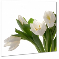 bukiet kwiatw, tulipany, biae, wiosna, ogrd, biae to, pikno, natura