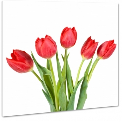 czerwone tulipany, kwiaty, bukiet, patki, licie, lato, natura, pikno, biae to