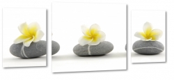 plumeria, kamienie, kwiat lei, wellness, hawajski, kwiat zakochanych, relaks, biae to, kompozycja, spa