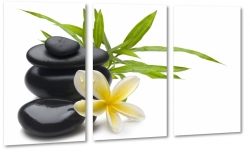 kamienie, plumeria, kwiat lei, hawajski, wellness, relaks, natura, kwiat zakochanych, spa