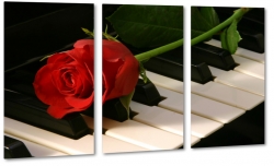 ra, czerwona, pianino, fortepian, pikno, styl, muzyka, czarny, romantyczna
