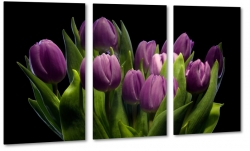 tulipany, holandia, zapach, fioletowe, bukiet, wiosenny, do salonu, czarne to