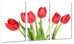 czerwone tulipany, kwiaty, bukiet, patki, licie, lato, natura, pikno, biae to