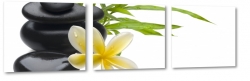 plumeria, kamienie, lei, rwnowaga, wellness, kwiat zakochanych, spa, biae to