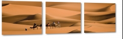 wielbdy, egipt, afryka, pustynia, beduini, lato, upa, piasek, piach, soce, skwar, wydmy, podr