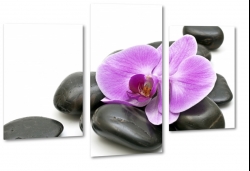 orchidea, fioletowy, kamie, wellness, kompozycja, rwnowaga, relaks, wyciszenie, natura