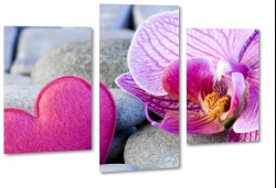 orchidea, serce, kamienie, wellness, spokj, relaks, wyciszenie, kwiaty, natura, spa, fiolet, dla kobiety