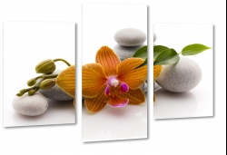 kamienie, orchidea, pomaraczowa, relaks, wellness, spa, dla kobiety