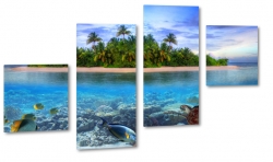 galapagos, wyspa, tropiki, w, rybka, rafa koralowa, bkitny, turkusowy, palmy, dungla, brzeg oceanu