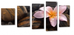 plumeria, wellness, kwiaty, kamienie, natura, zdrowie, spokj, rwnowaga, relaks, patki