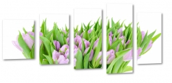 tulipany, fiolet, kwiaty, patki, natura, licie, bukiet, pikno, biae to, makro