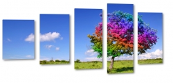 drzewo, abstrakcja, kolorowe, tcza, artystycznie, wie, pole, polana, soce, promienie, niebieskie niebo, krajobraz, widok, pejza