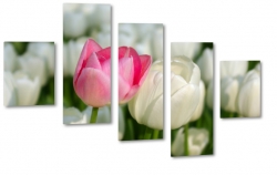 tulipany, kwiaty, patki, natura, licie, bukiet, rowy, biae