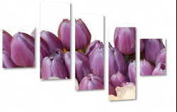 tulipany, fiolet, kwiaty, patki, natura, licie, bukiet, pikno, biae to