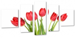 tulipany, holandia, zapach, czerwone, bukiet, wiosenny, do salonu, ogrd