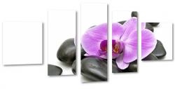 orchidea, fiolet, kamienie, czarne, rwnowaga, wellness, do salonu, relaks, spa