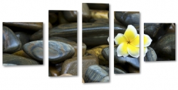 kamienie, plumeria, kwiat lei, hawajski, wellness, relaks, natura, kwiat zakochanych, spa