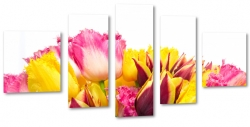 tulipany, kolorowe, bukiet, jasne, biae to, na prezent 